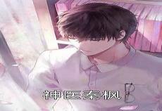 天降赘婿秦枫黎洁