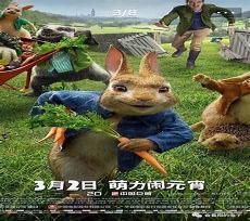 彼得兔的故事阅读收获