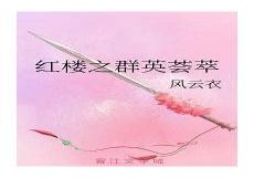 红楼之群英荟萃风云衣60