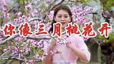 你像三月桃花开原唱